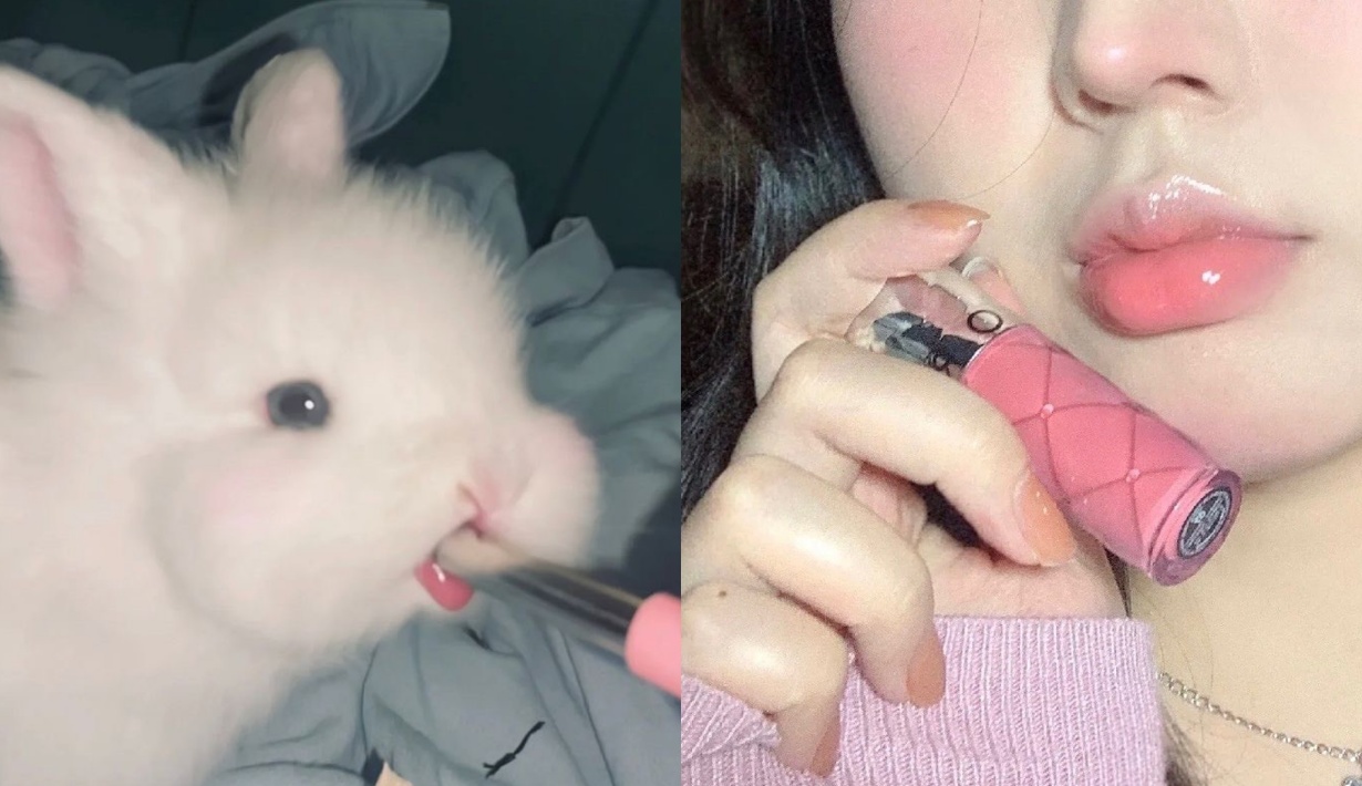 El Bunnytongue El Maquillaje Labial De Moda En Tiktok