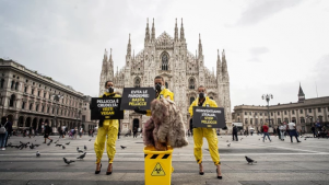 ¡Histórico! Italia prohíbe los criaderos de pieles animales
