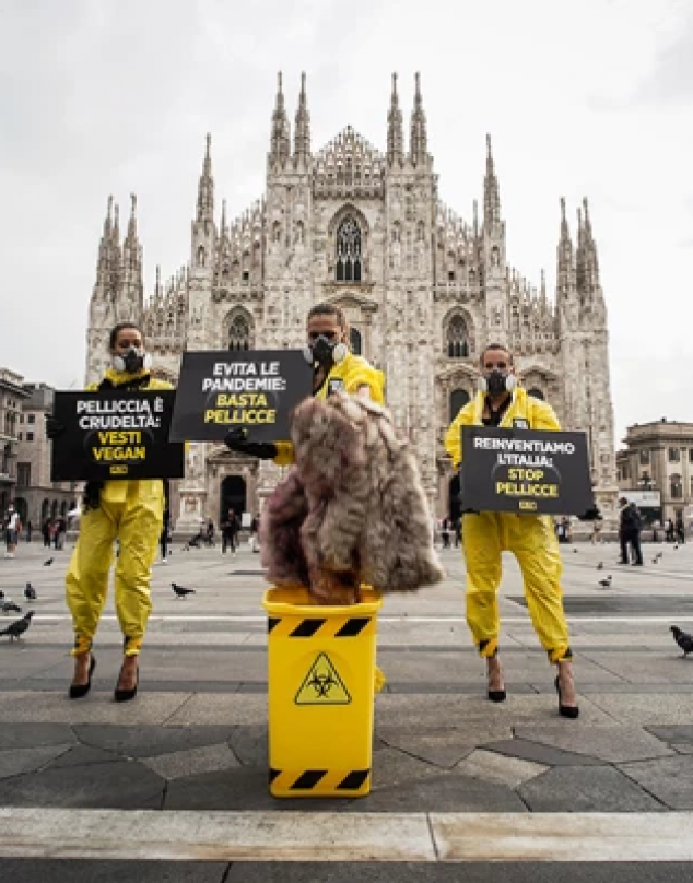 ¡Histórico! Italia prohíbe los criaderos de pieles animales