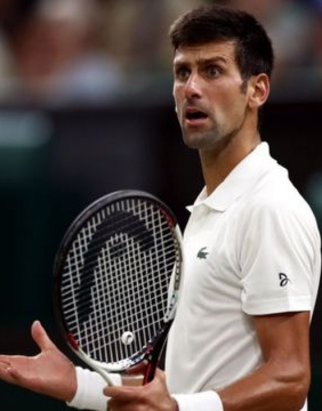 Sigue la polémica: Djokovic mintió en su ingreso a Australia