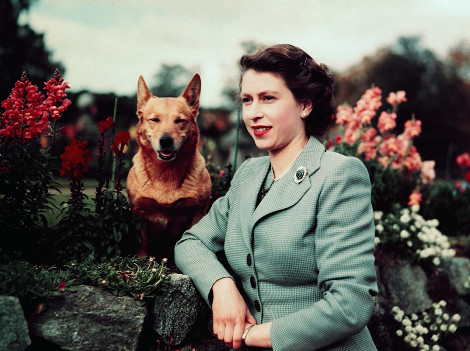La reina Isabel II tiene un nuevo perrito (y no es un corgi)