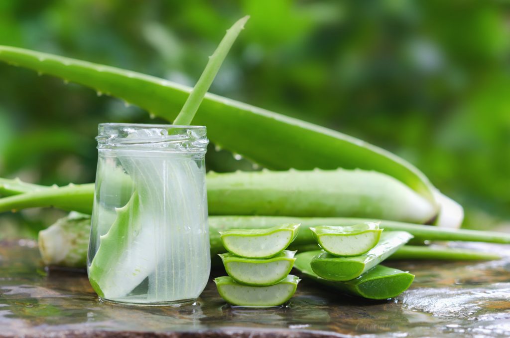 Jugo de aloe vera ¿Por qué todo el mundo en TikTok lo está bebiendo