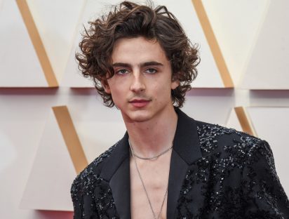 Timothée Chalamet llega a Netflix con nueva película animada