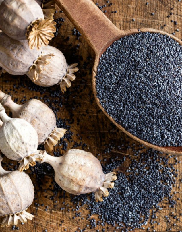 Semillas de amapola, un tesoro nutricional que ayuda con la digestión (y otros beneficios)