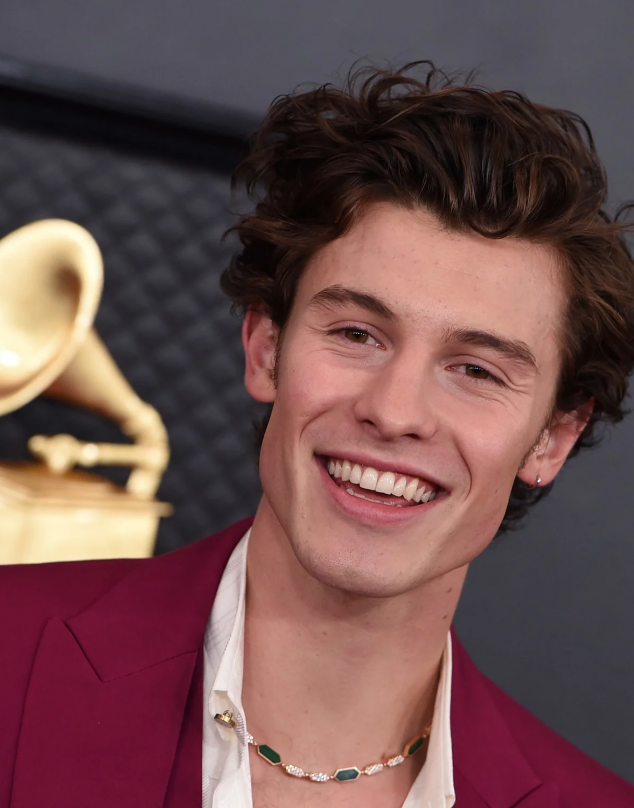 Shawn Mendes cancela su gira mundial por problemas de salud mental