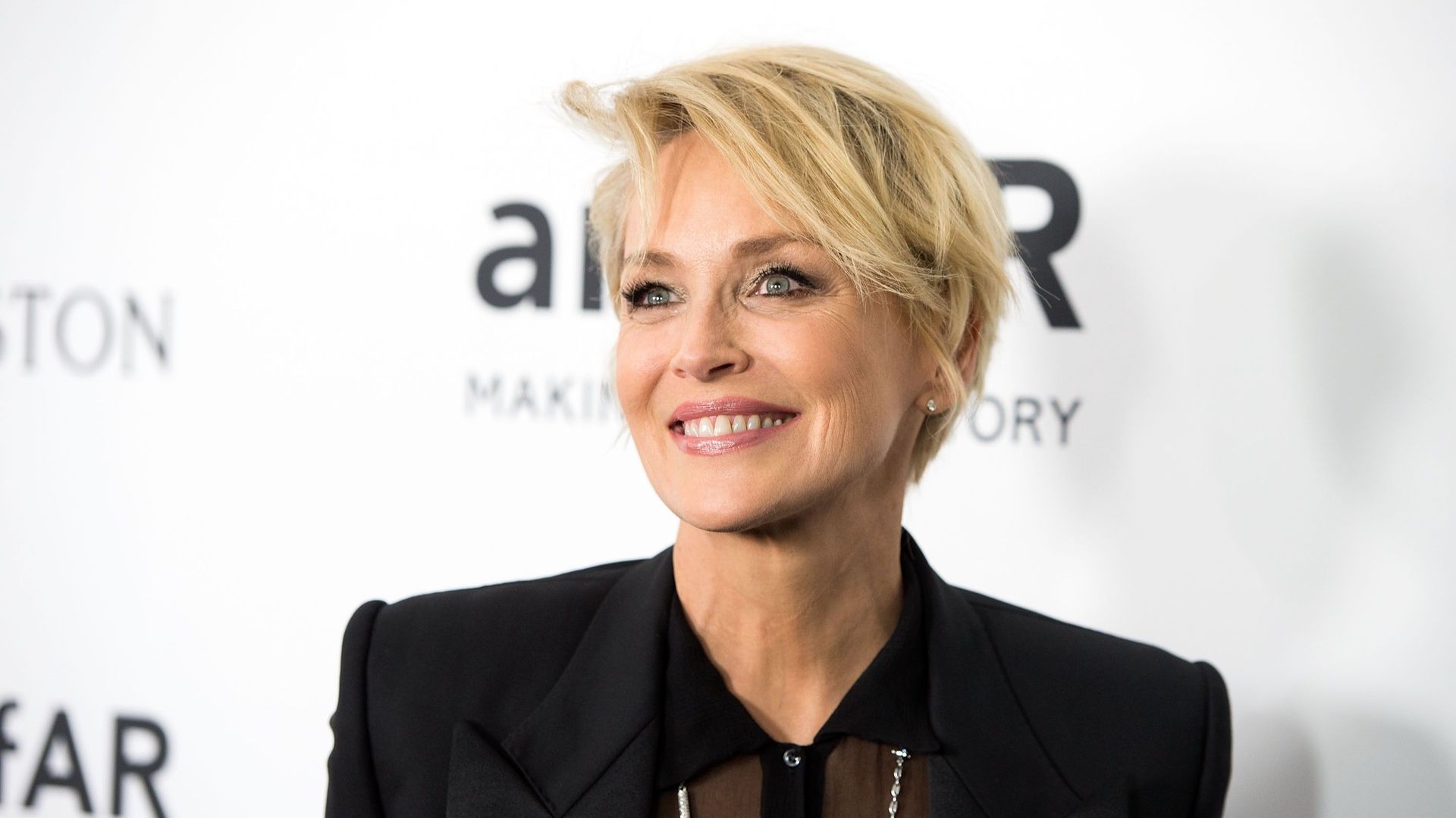 Sharon Stone confiesa la razón que provocó la caída de su carrera en Hollywood