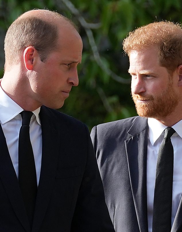 “Ya no hay nada que hacer” dicen cercanos sobre la relación entre William y Harry