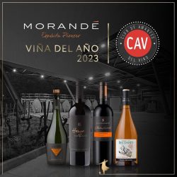 Morandé es elegida como viña del año 2023