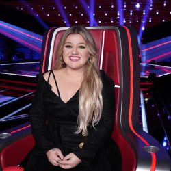 Kelly Clarkson protagoniza polémica por un pájaro mecánico