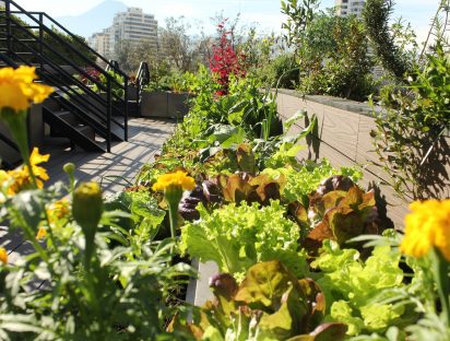 Hotel Mandarin Oriental, Santiago y Enel X presentan el primer huerto sustentable en altura