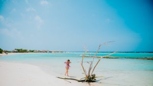 Aruba: Donde el desierto se une con el mar