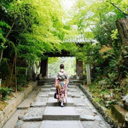 Hanasaki: el método de los japoneses para ser felices y vivir más
