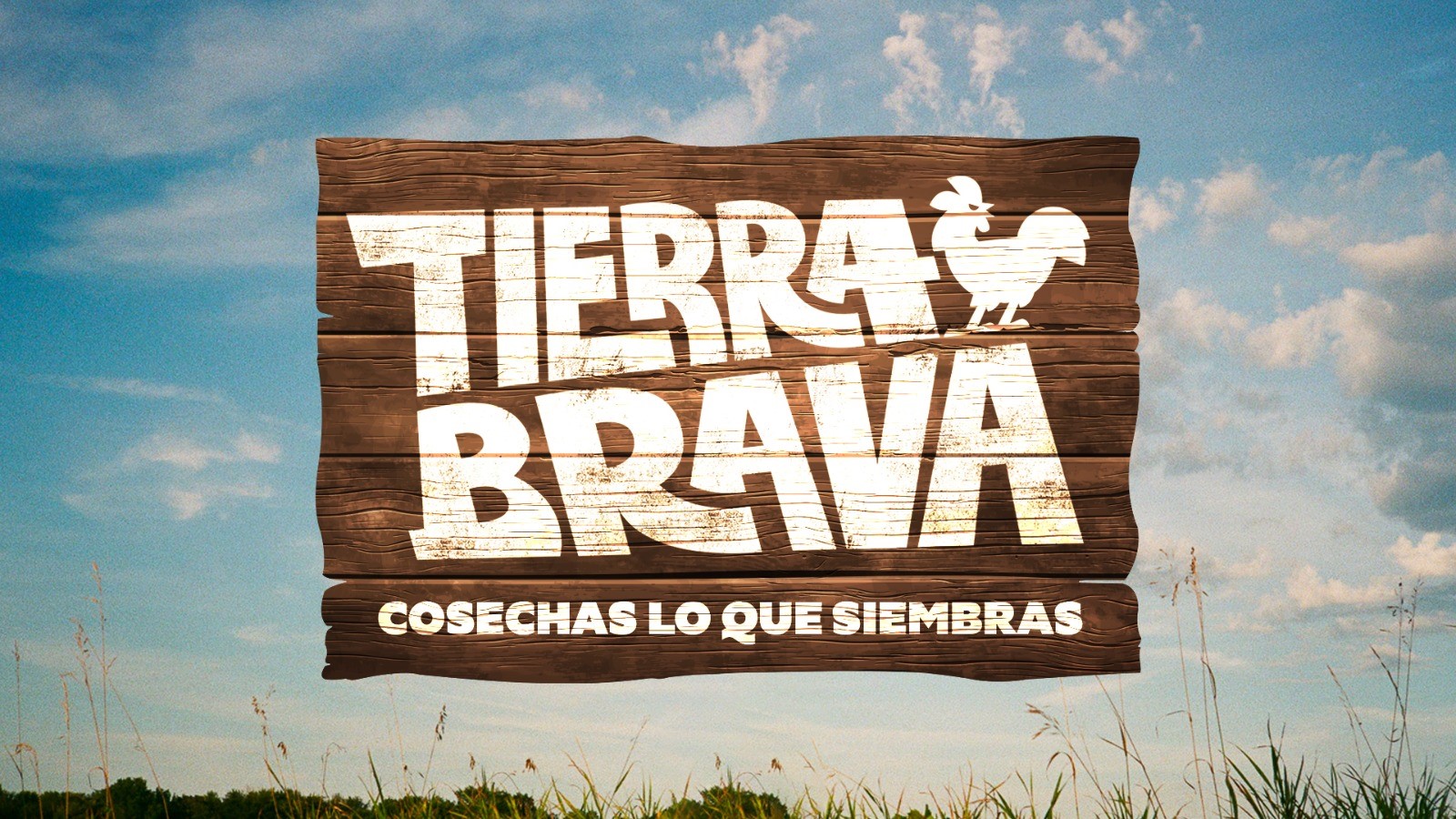 Tierra Brava: Este es el equipo de expertos que estará a cargo del nuevo reality show