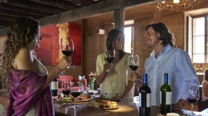 Viñedos Veramonte y Viña Neyen de Apalta celebran con experiencias y precios especiales