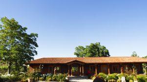 El enoturismo escondido de Viña Aquitania, a los pies de la Cordillera de los Andes