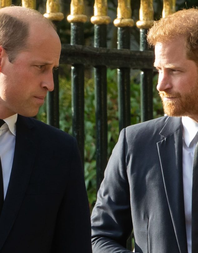 ¿Se reunirán Harry y William en su visita a Reino Unido? Esto dicen los expertos