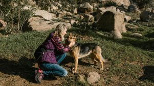 Lo que todo dog-lover debería hacer con su mascota durante un paseo