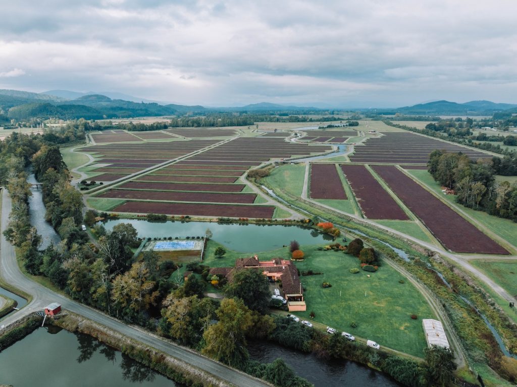 Fundo Fortuna en Lanco.