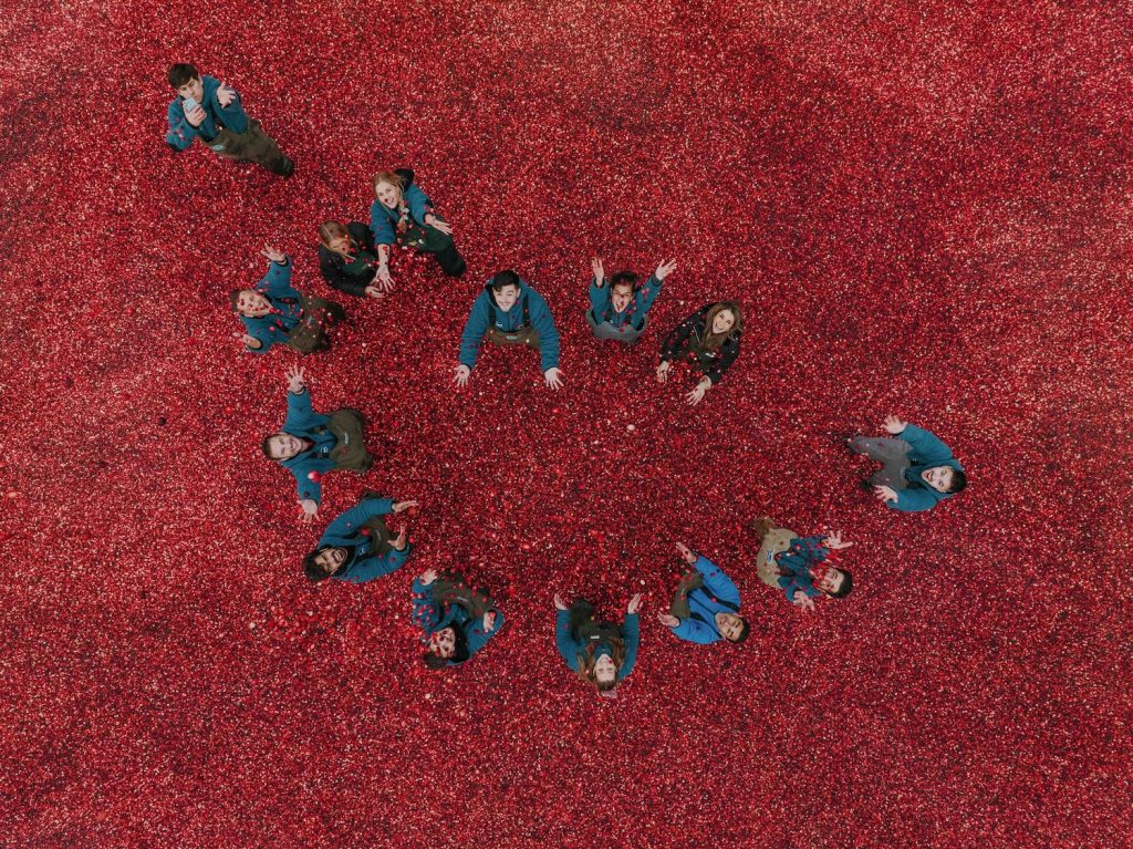 Piscinas de cranberries.