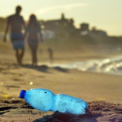 Contaminación por plástico amenaza la sexualidad