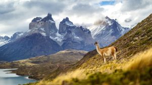 Los “100 mejores lugares para visitar en el mundo” de TIME incluyen 2 de Chile