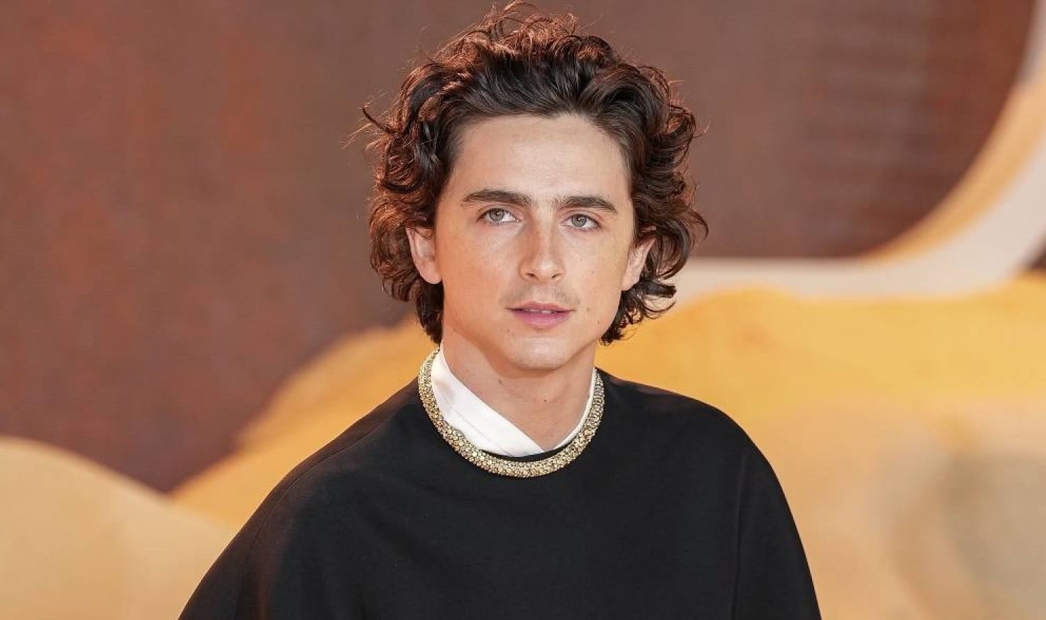 Quién fue Marty Reisman, el nuevo papel que interpretará Timothée Chalamet para A24