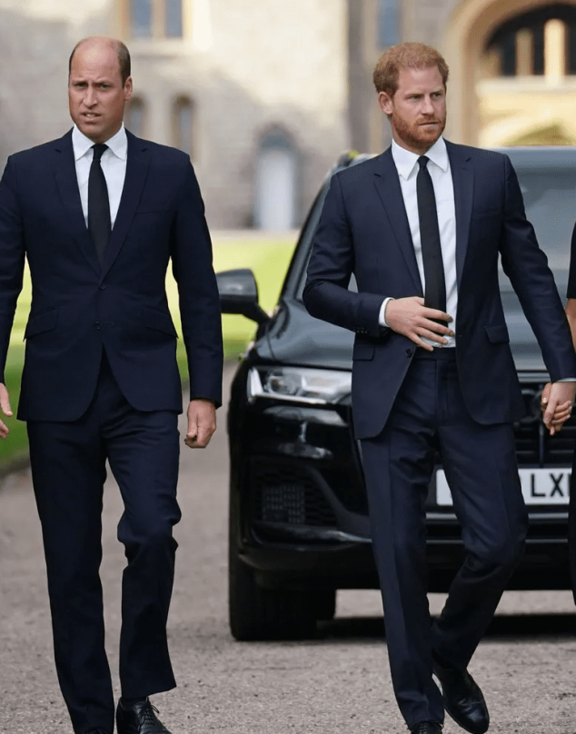 ¿Qué tan grave es el distanciamiento entre Harry y William?