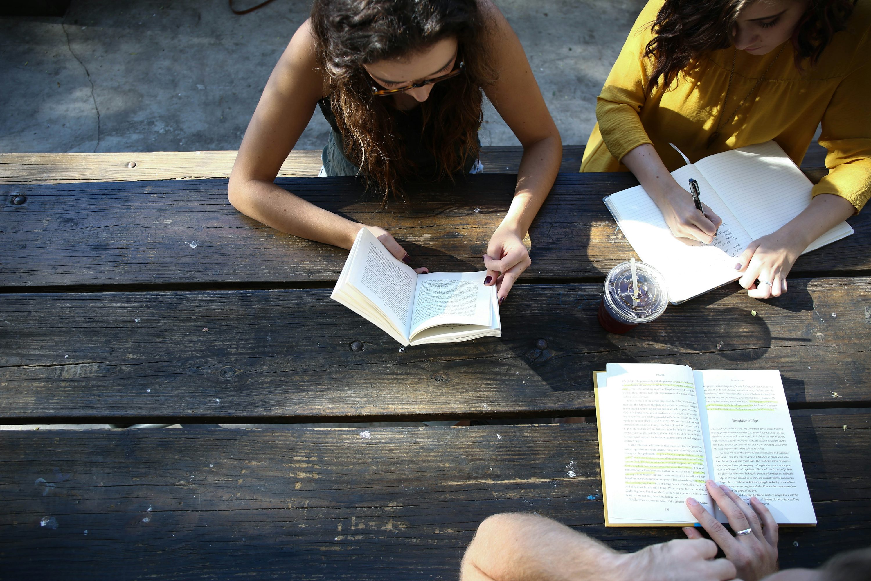 De serpientes y gatos: dos recomendaciones literarias para octubre