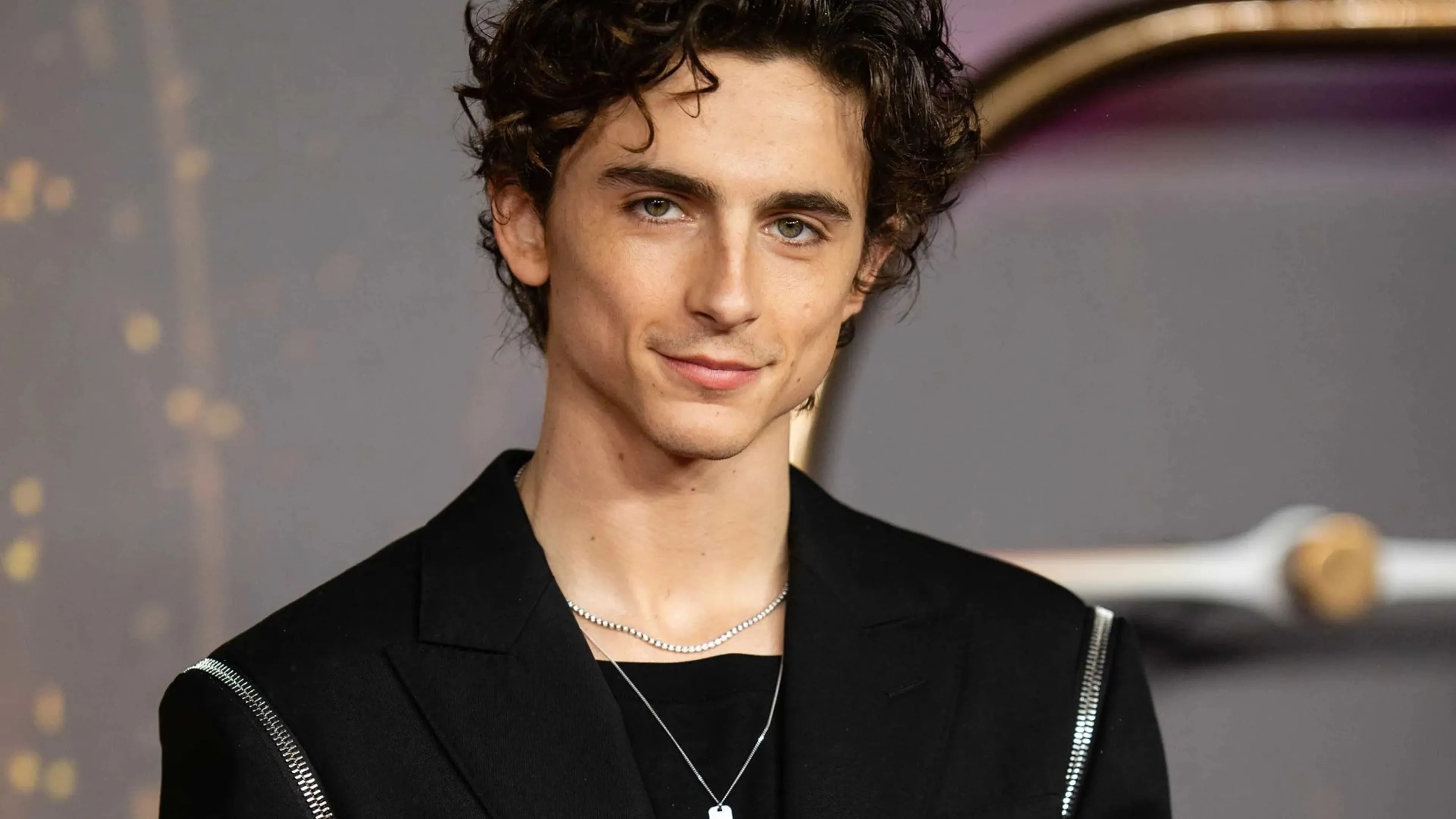 Timoth e Chalamet Cumple 29 A os Y Est En Su Mejor Momento