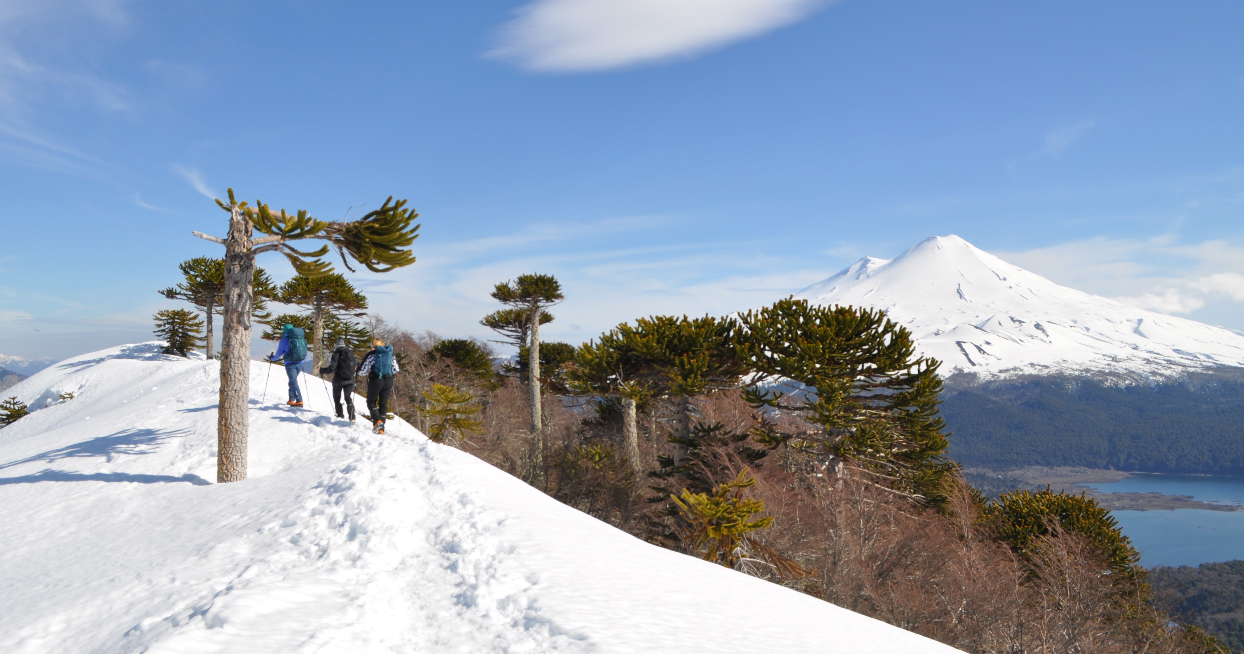 Melipeuco: Festín de trekking