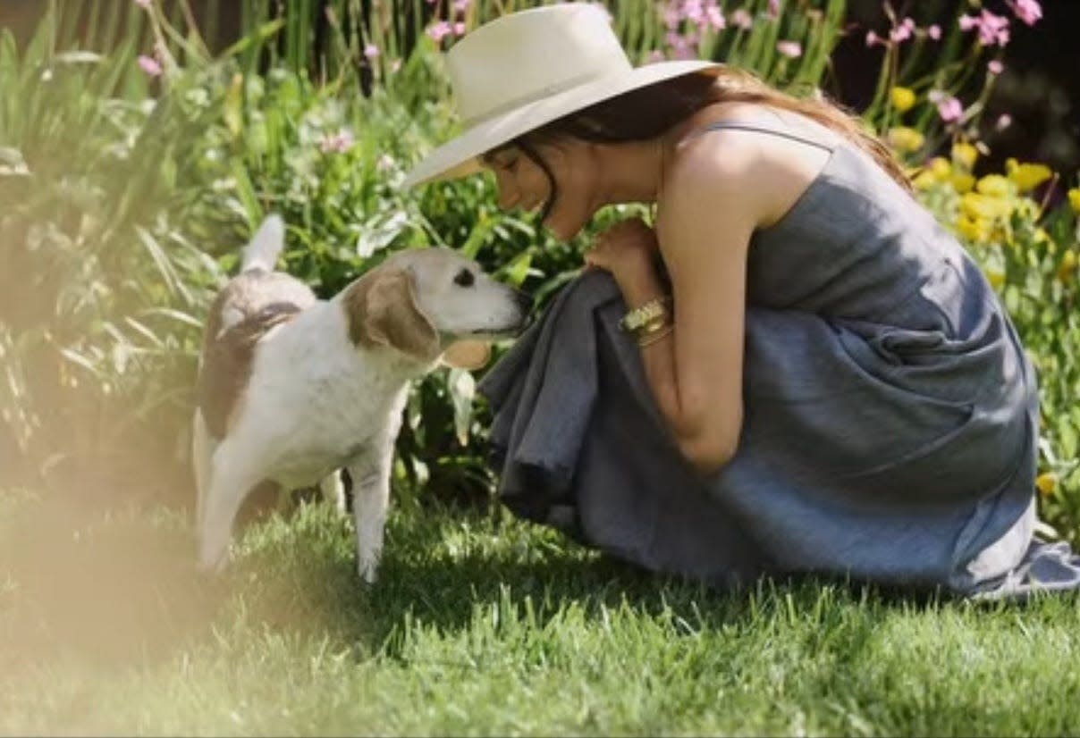 Meghan Markle se despide de su perrito con un emotivo video