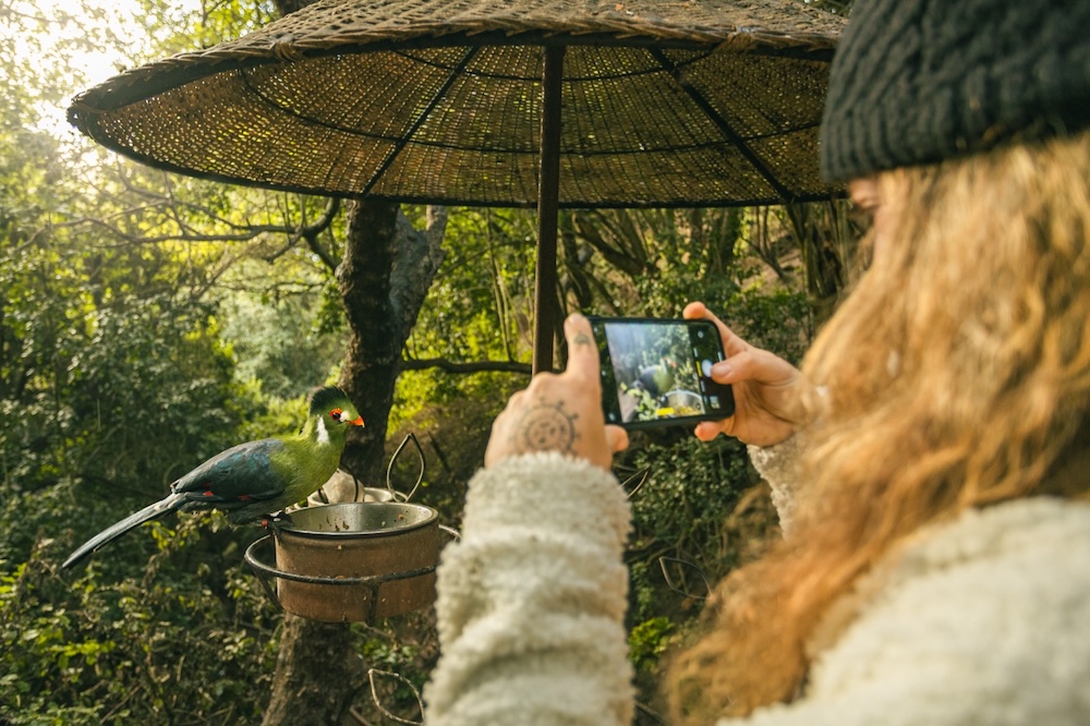 Panoramas: ¡Este invierno, la aventura te espera en Parque Tricao!