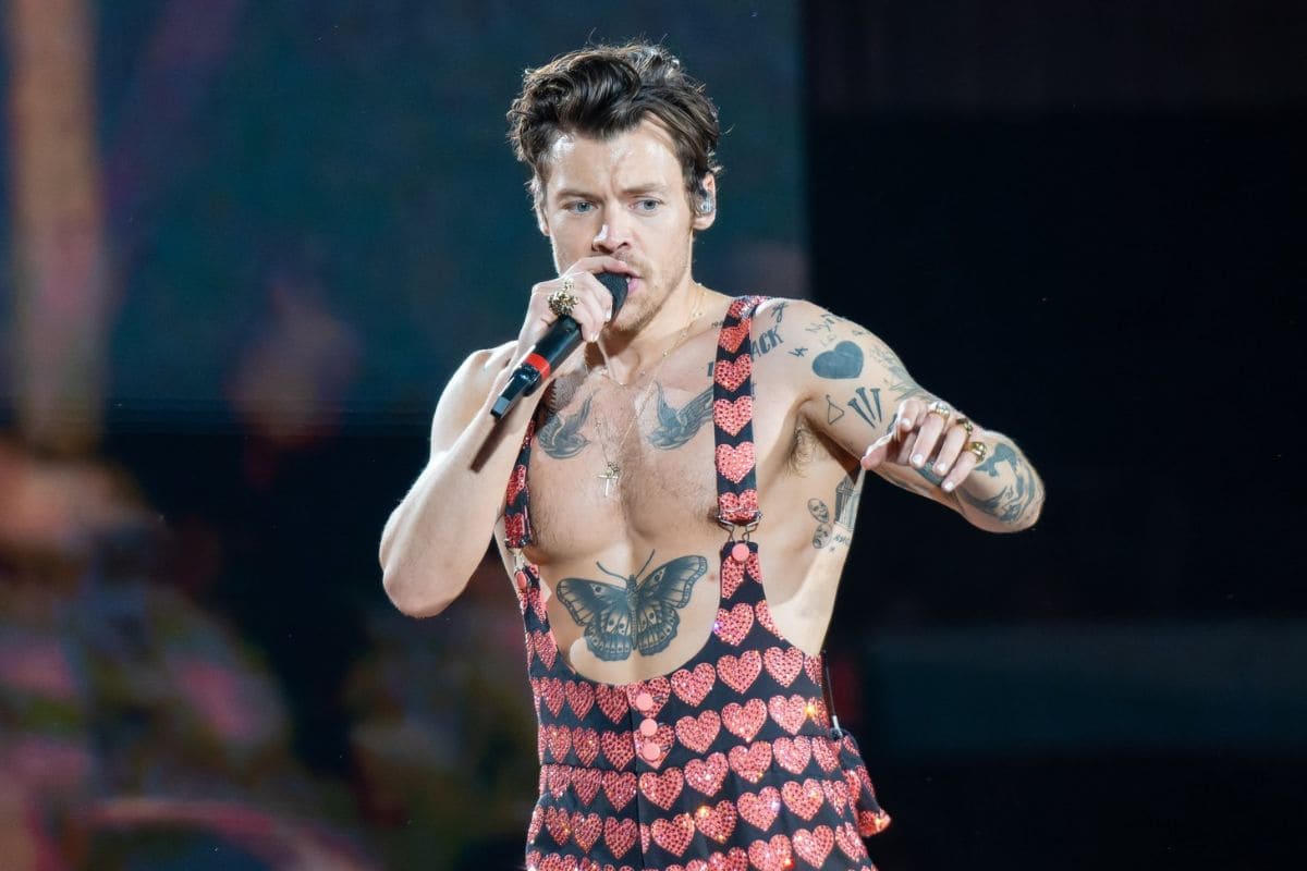 Harry Styles lanza su colección más osada juguetes sexuales