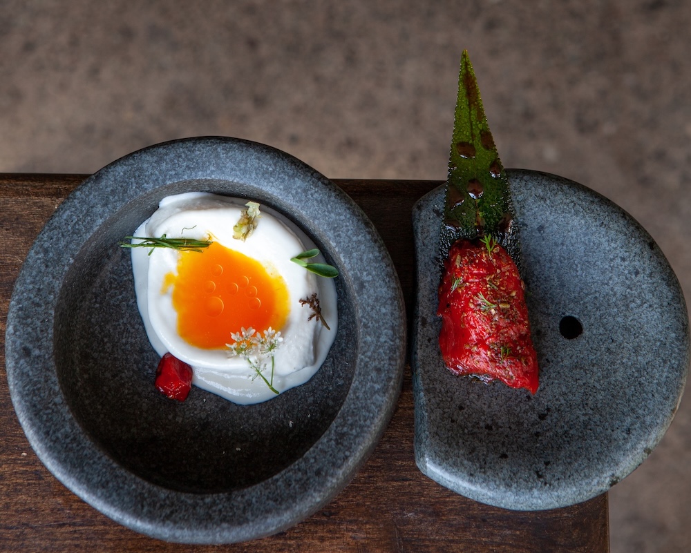 Velvet a la carta: Boragó y los caminos de una cocina que persiste