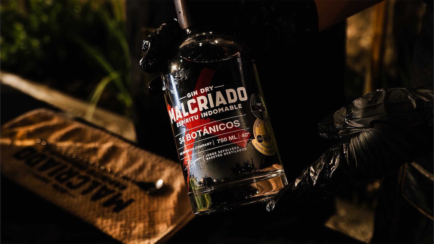 La revolución del gin chileno más premiado del último año