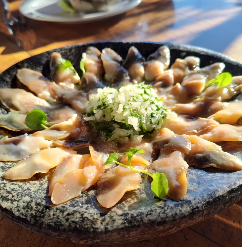 Squella Restaurant, garantía de sabrosos pescados y mariscos en Santiago centro