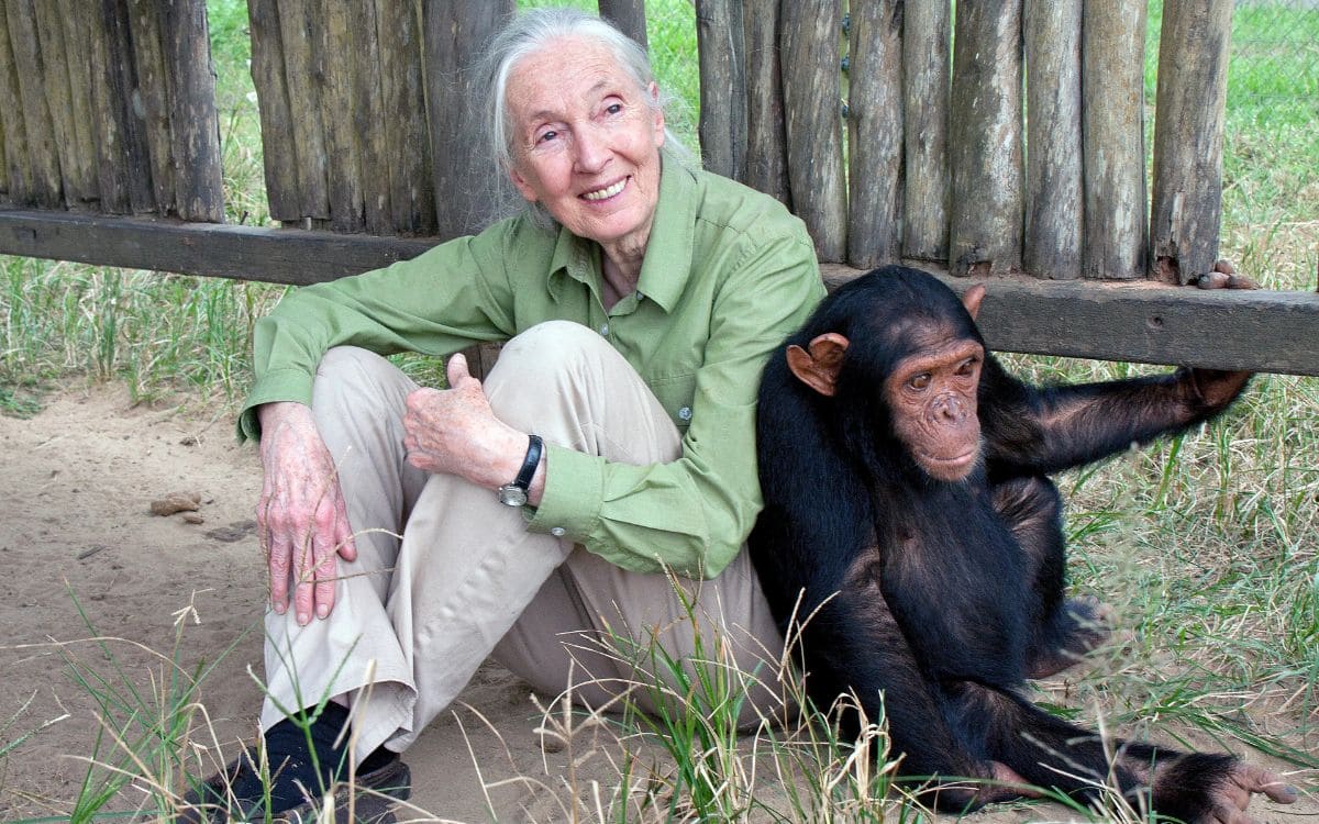 3 enseñanzas de Jane Goodall que inspiran a la moda consciente