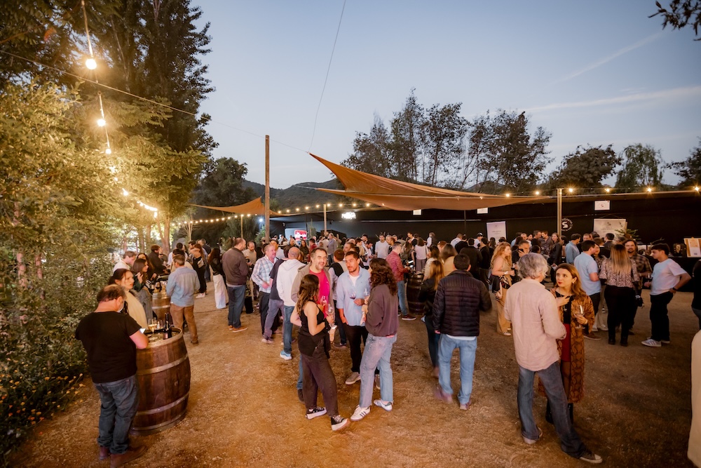 Maturana Sunset Experience: Atardecer con identidad y vino en San Fernando