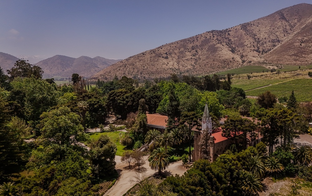 Santa Rita, la viña chilena que Forbes coronó como la mejor del mundo