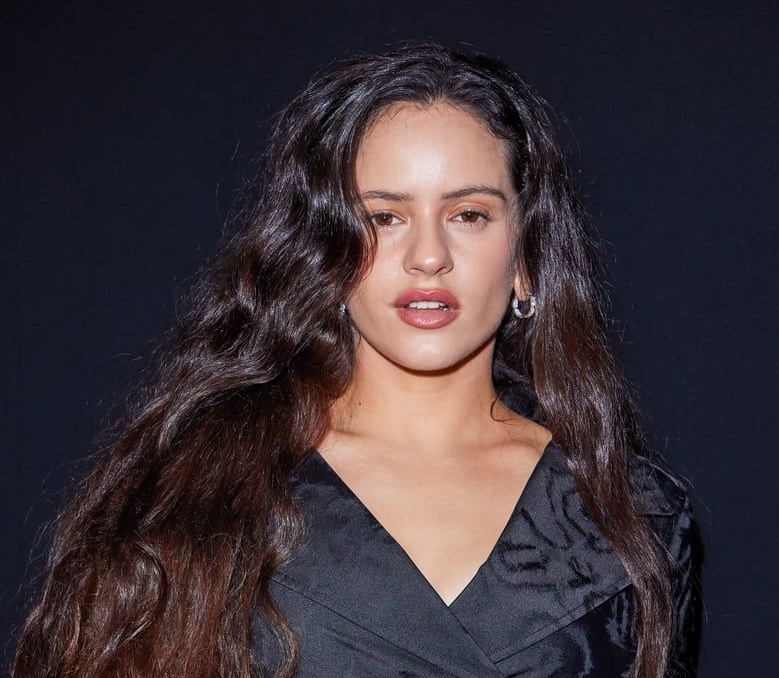 La vida secreta del padre de Rosalía