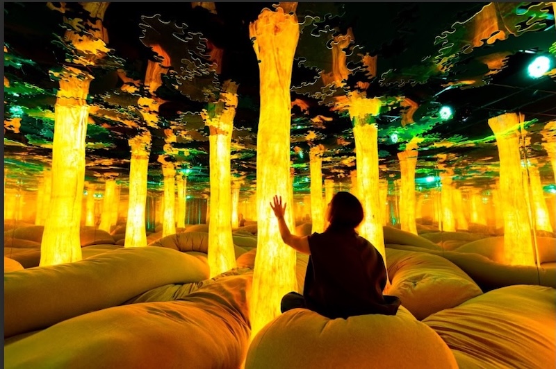 Dopamine Land en Santiago, la experiencia sensorial diseñada para despertar la felicidad