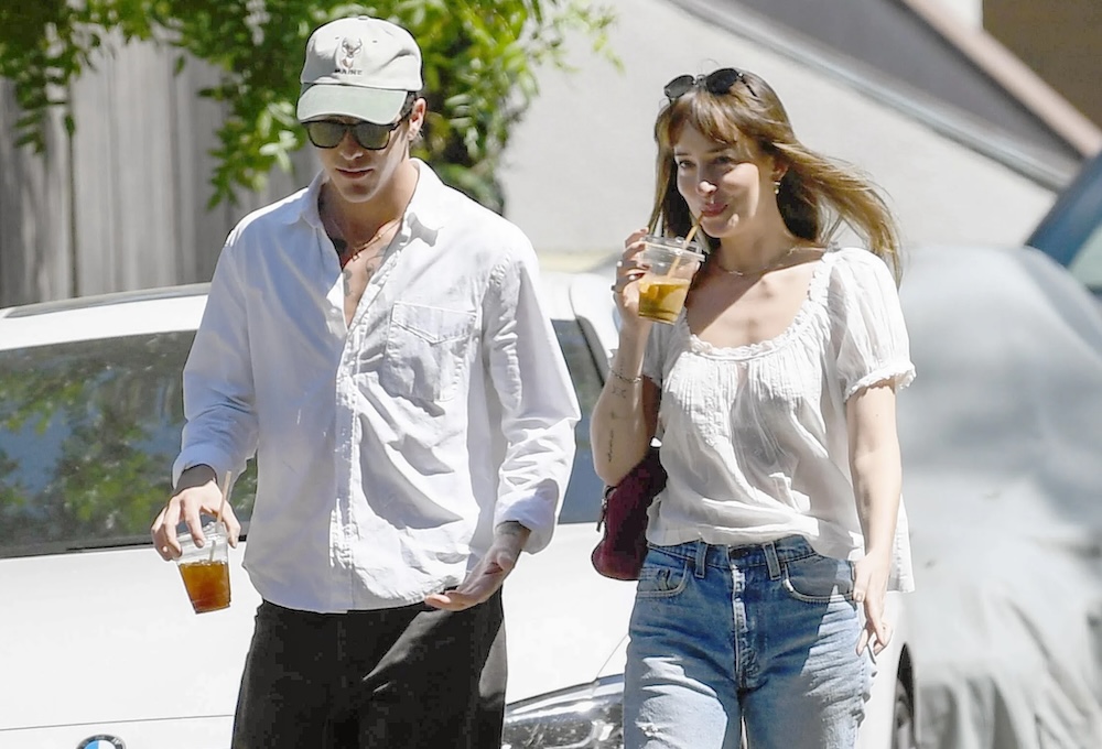 Dakota Johnson y Role Model: Todo sobre el nuevo romance de la actriz