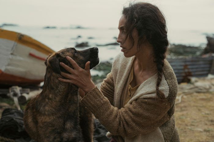 Perra chilena gana premio en Cannes