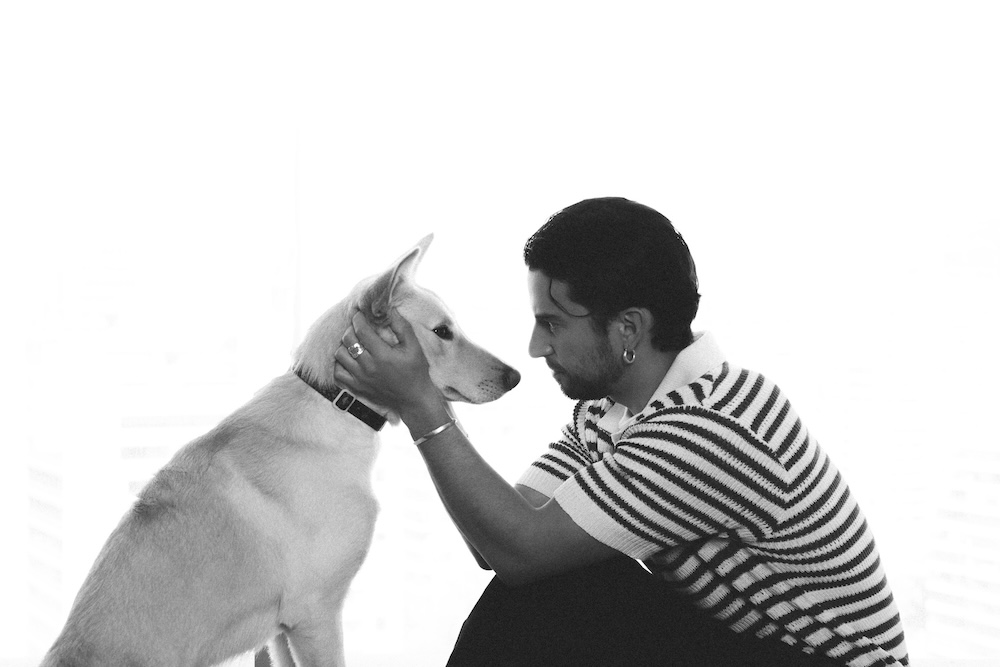 Guaw: Nala, la reina de la casa