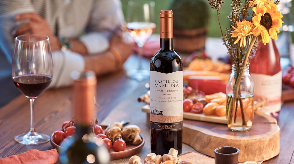 Día del Vino Tinto: Castillo de Molina invita a descubrir la diversidad de los tintos chilenos