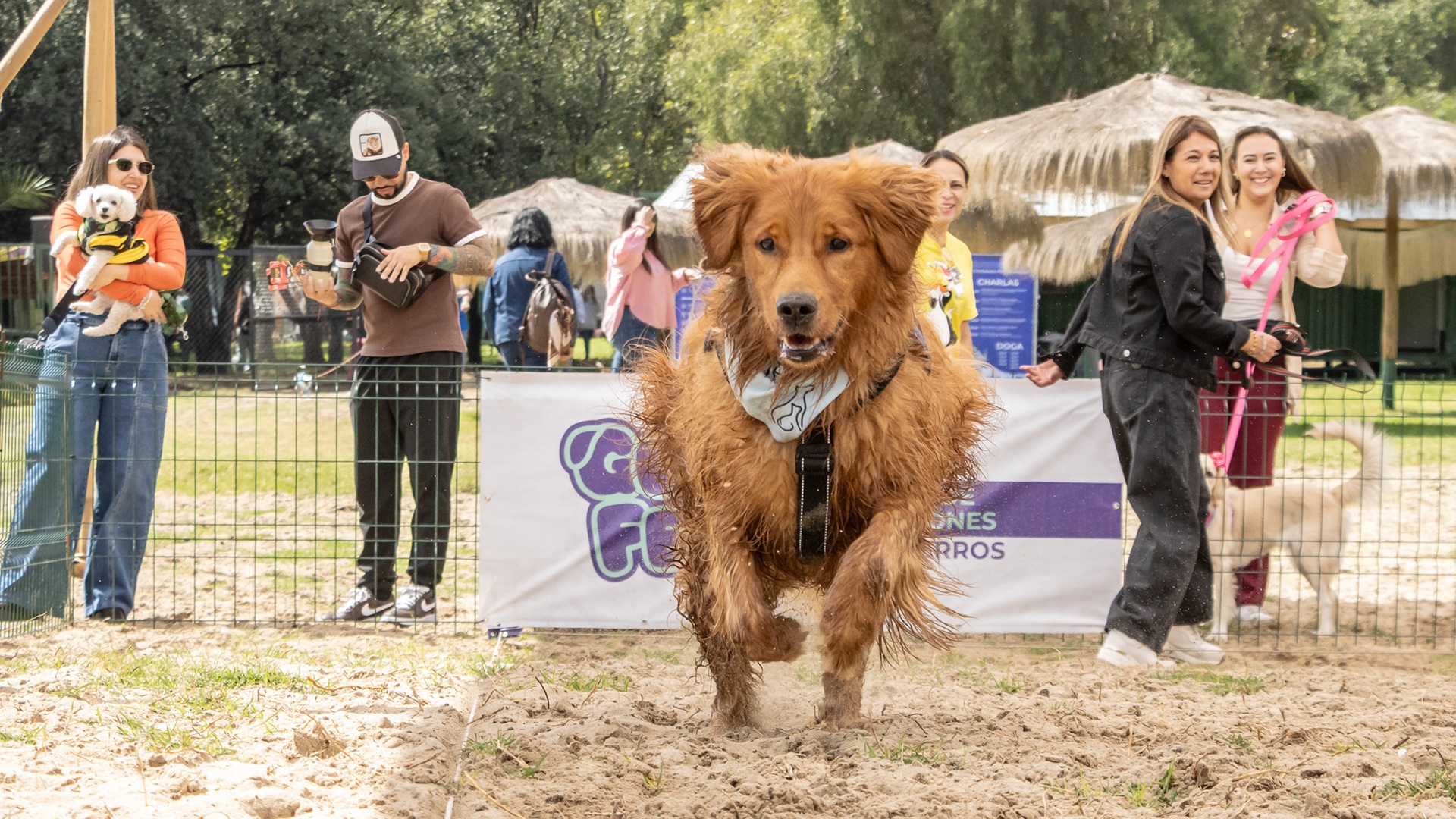 Vuelve GuauFest: el primer parque de diversiones 100% para perros