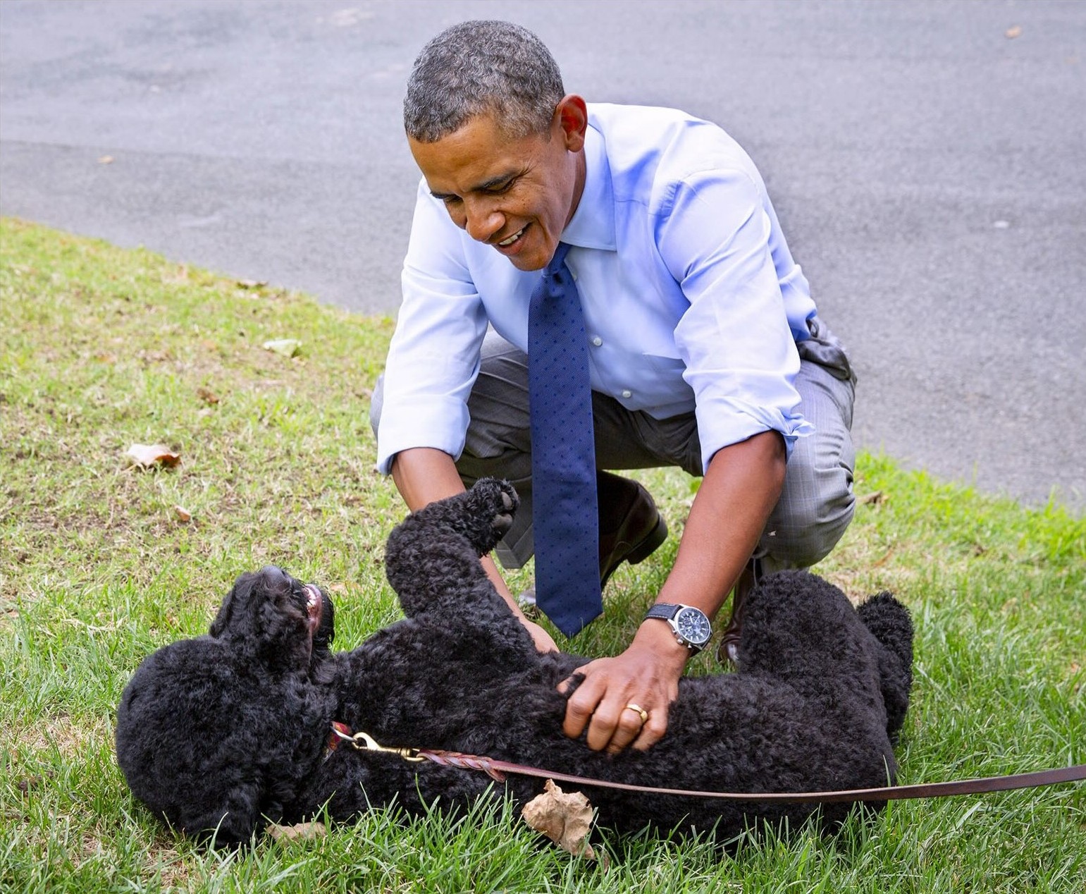 Muere Sunny, la querida perrita de la familia Obama