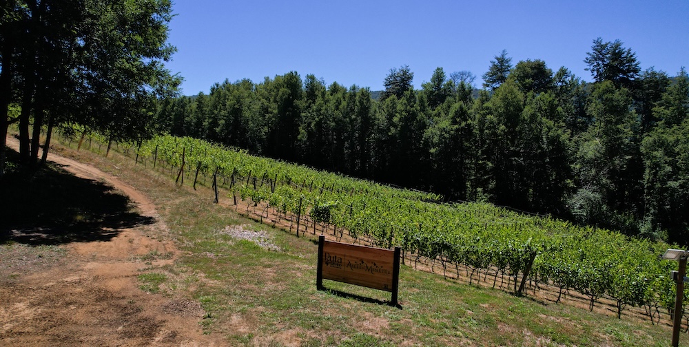 Menetúe: Vino, aguas termales y bienestar