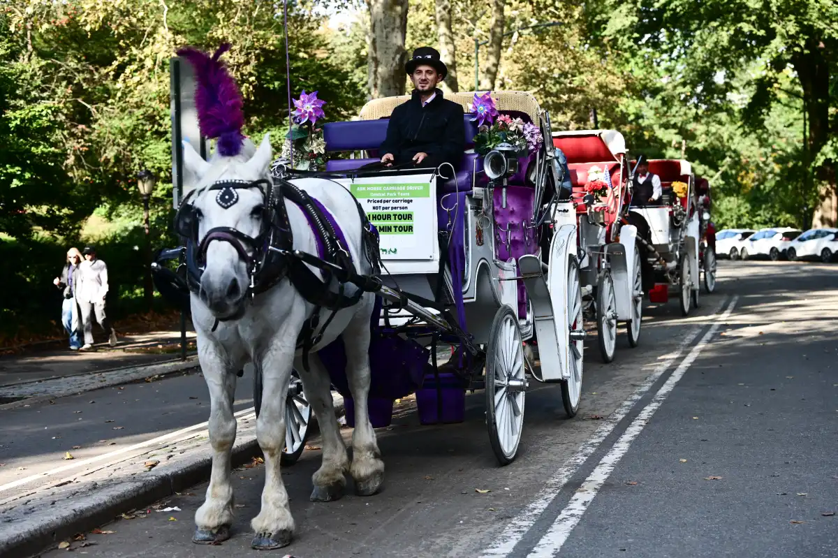 Nueva York prohibirá los carruajes tirados por caballos