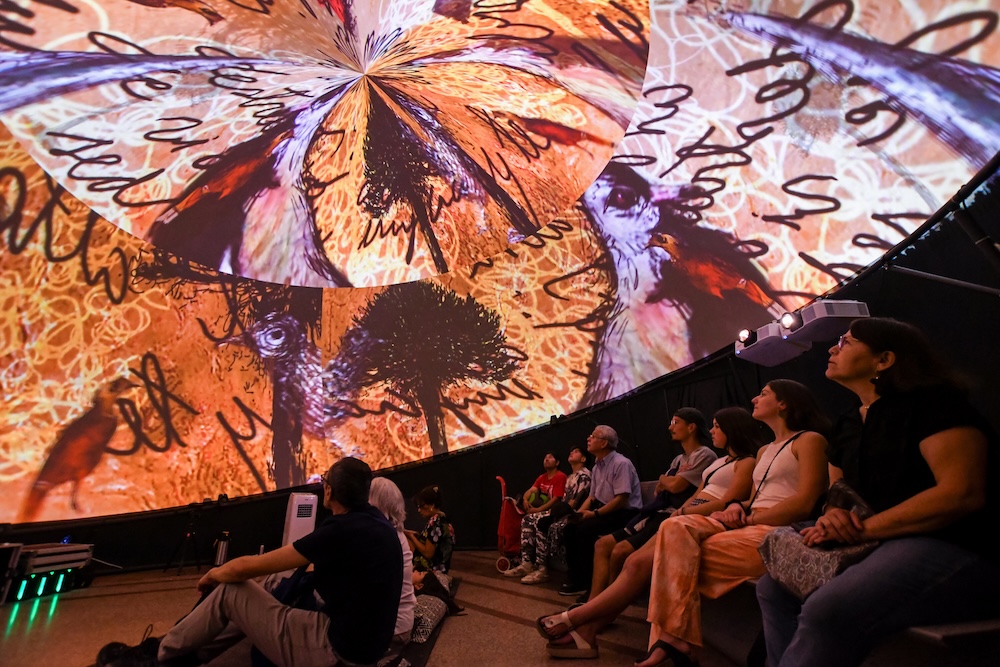 ART WEEK 2026: Más de 380 artistas, experiencias inmersivas, música en vivo y talleres gratuitos